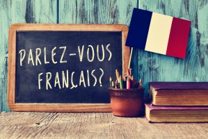 question parlez-vous francais? do you speak french?