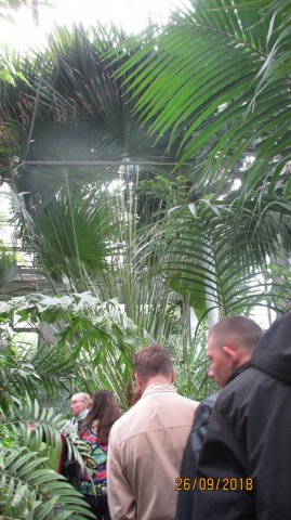 Заняття в в оранжерейному комплексі Ботанічного саду 1