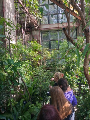 Заняття в оранжерейному комплексі Ботанічного саду 1
